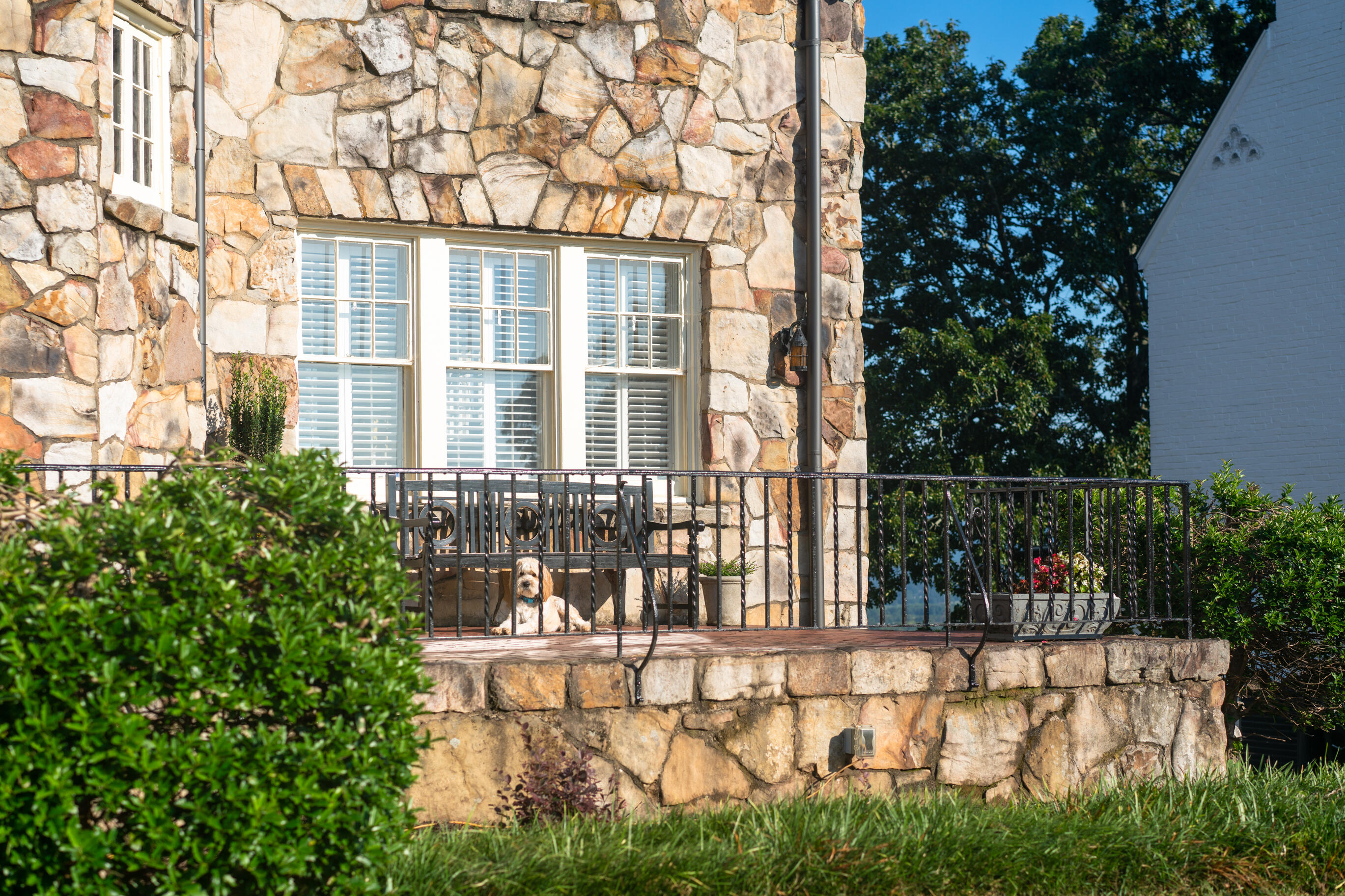 75 South Crest Road Chattanooga, TN 37404 - Photo 9 of 94 _DSC7796-Edit