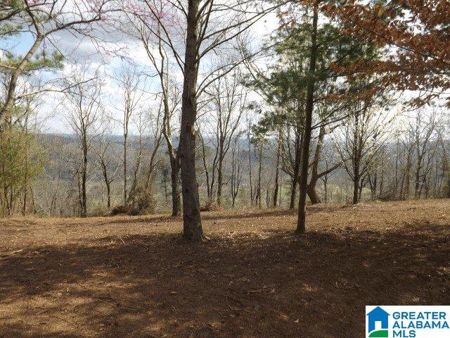 8455 Pine Mountain Road Springville, AL 35146 - Photo 32 of 39 Gallery Image 32