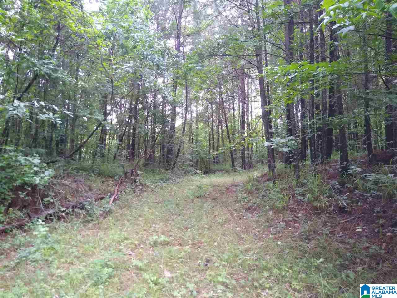 2700 Elvester Road, Unit 29 ACRES Warrior, AL 35180 - Photo 21 of 25 Gallery Image 21