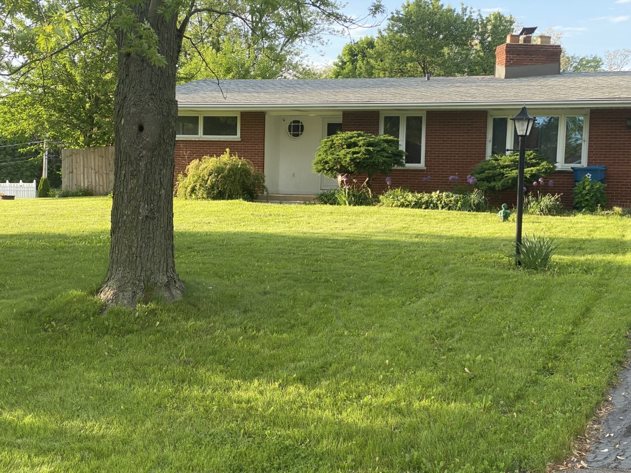 a front view of house with yard having outdoor seating