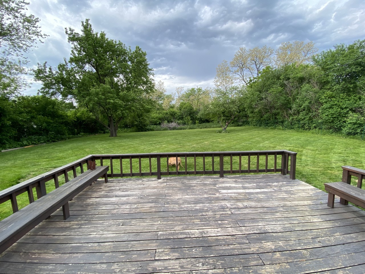21W270 Temple Drive Itasca, IL 60143 - Photo 15 of 15 a view of a wooden deck and a yard