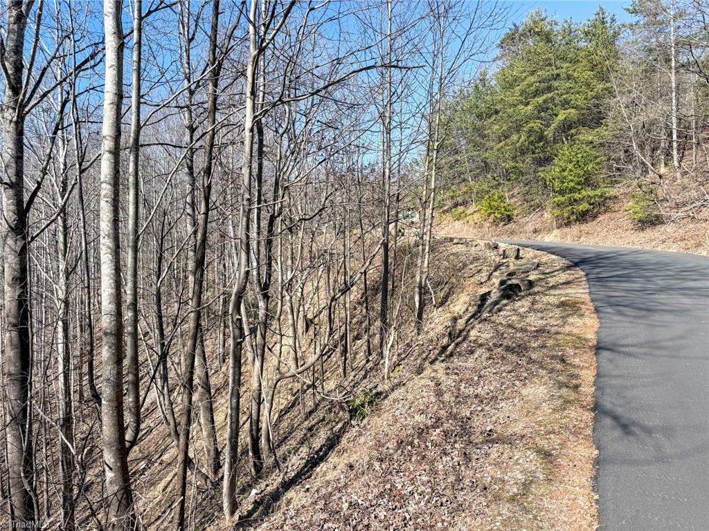 0 Ridge Run Road Boomer, NC 28606 - Photo 22 of 22 Gallery Image 22