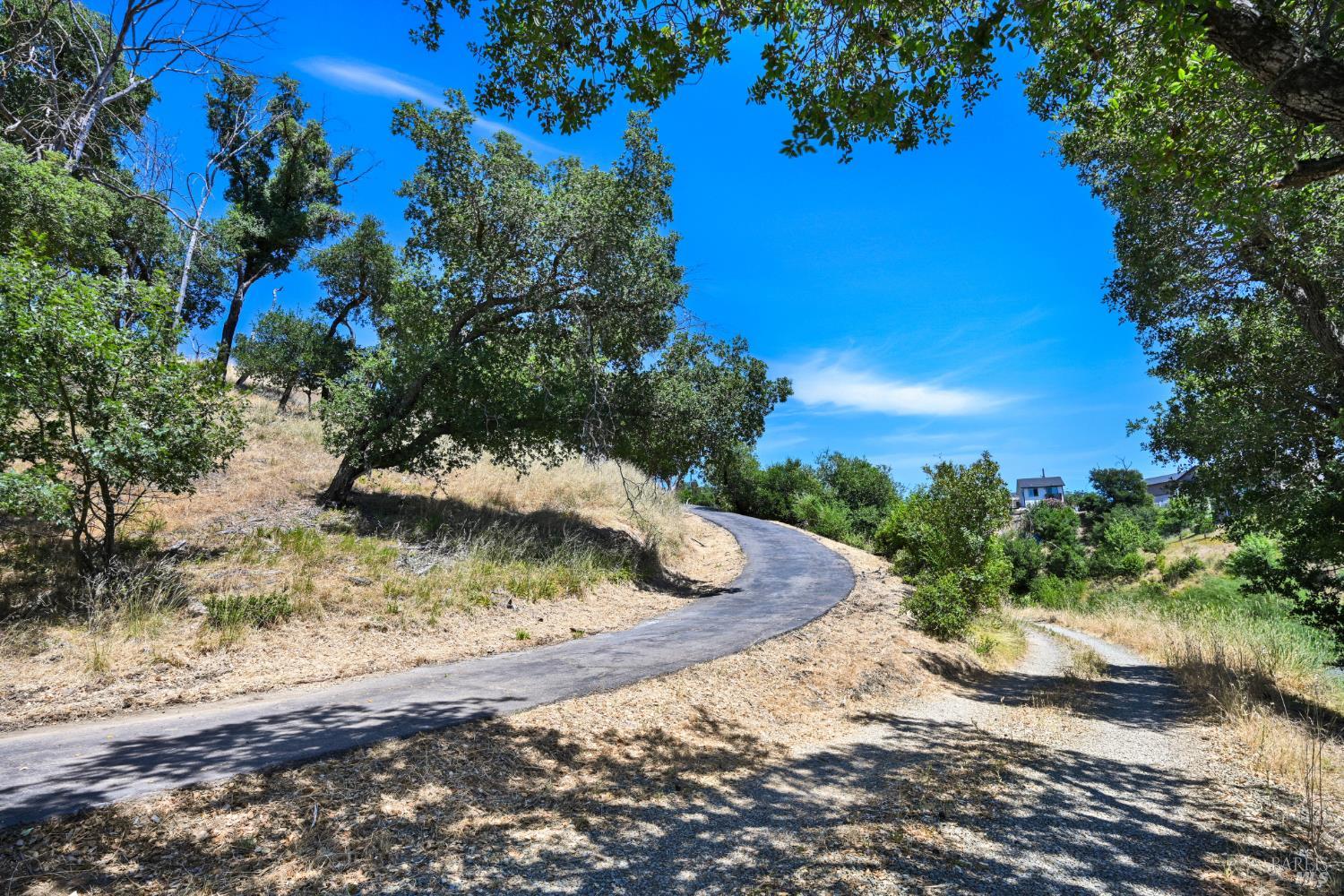1400 Michele Way Santa Rosa, CA 95404 - Photo 2 of 35 a view of a tree with a yard