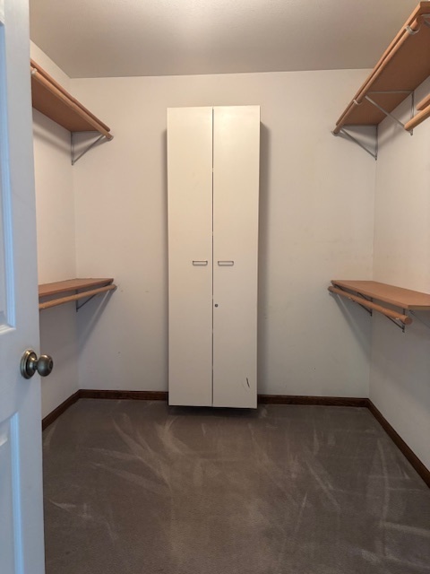 1680 County Road 3200 North Rantoul, IL 61866 - Photo 19 of 23 a view of a room with closet