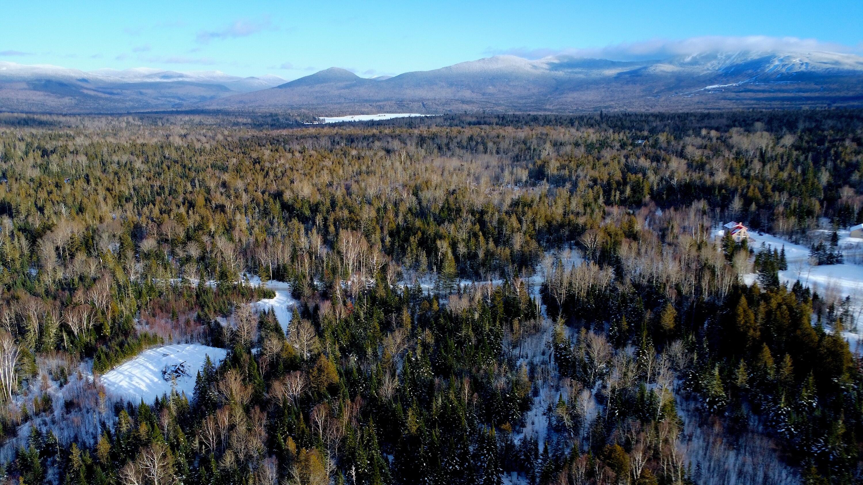 620 Dallas Hill Road Dallas Plt, ME 04970 - Photo 4 of 5