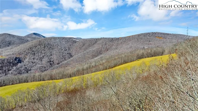 a view of a swimming pool with a yard