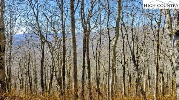 $175,000 | Tbd ( Lot 79 Elk Creek Mountain Parkway, Todd, NC 28684