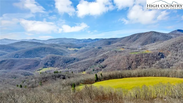 a view of a backyard with green space