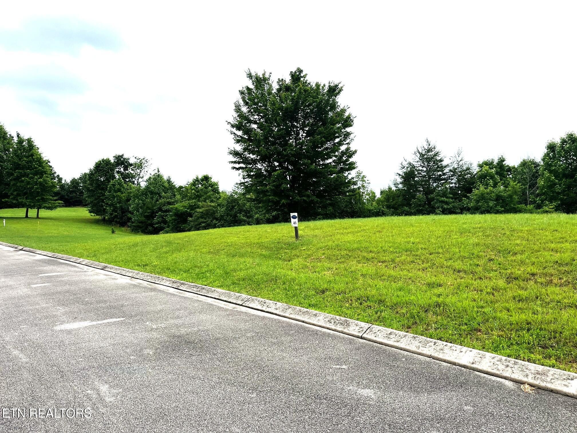 295 River Run Trail Spring City, TN 37381 - Photo 22 of 26