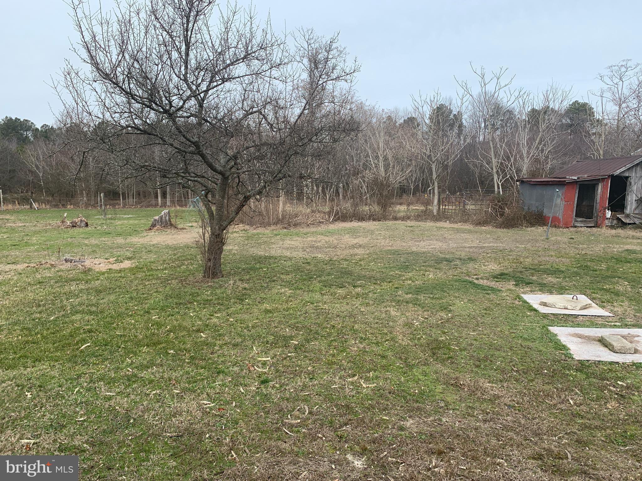 4799 Rabbit Run Road Bridgeville, DE 19933 - Photo 28 of 29 Gallery Image 28