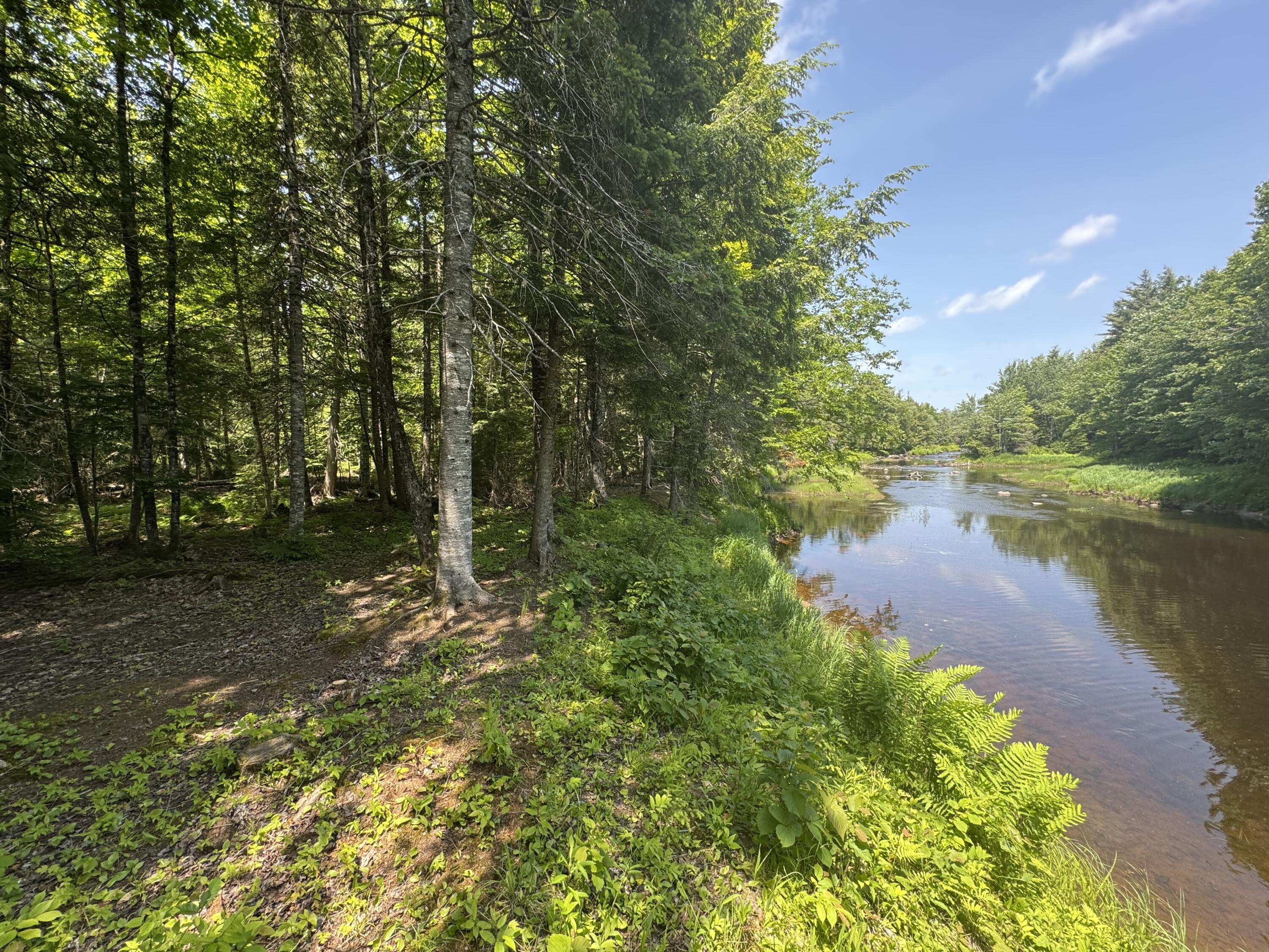 Lot 1 Keene Road Lincoln, ME 04457 - Photo 1 of 22 IMG_5429