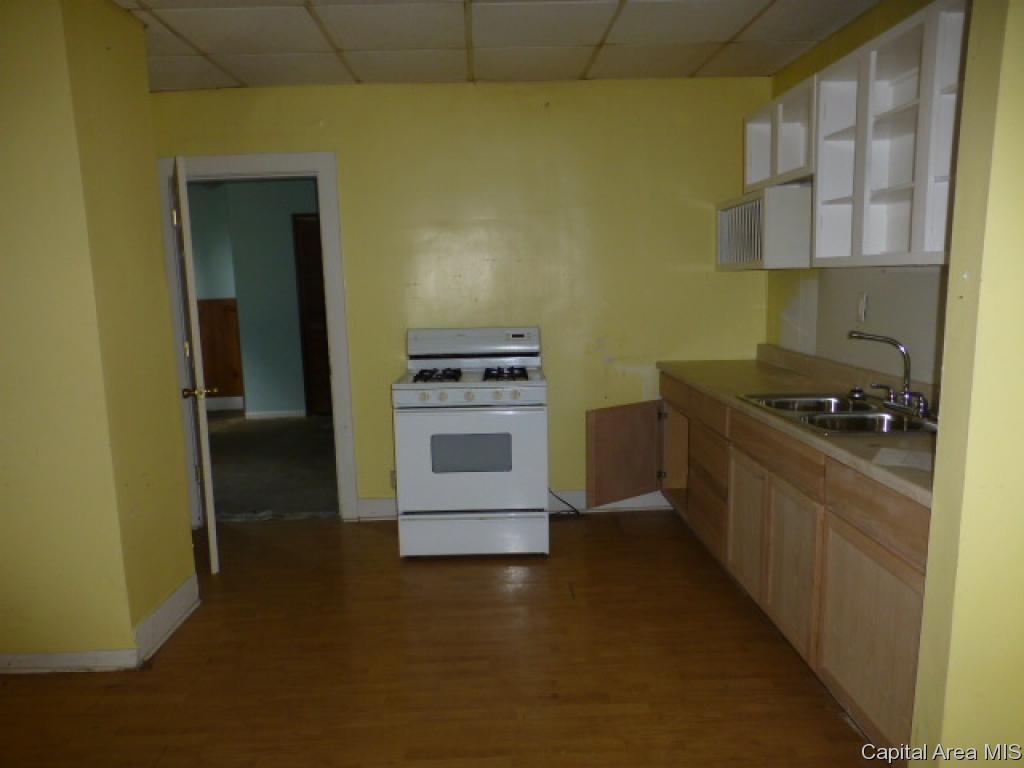 105 West Allen Street Springfield, IL 62704 - Photo 4 of 23 Gallery Image 4