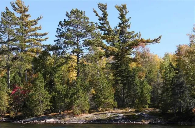 $470,000 | Lot 8-9 Wakemup Narrows Street North, Cook, MN 55723