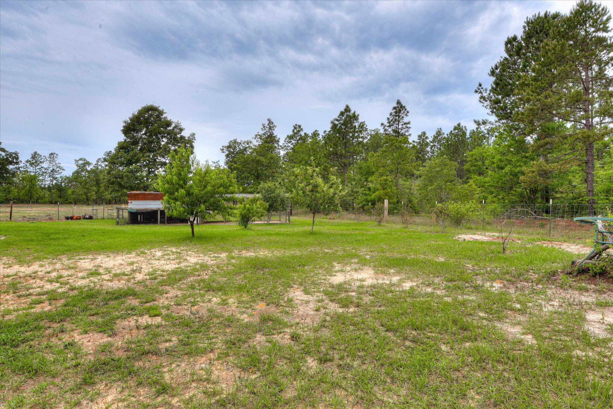 173 Daytona Road Wagener, SC 29164 - Photo 41 of 49