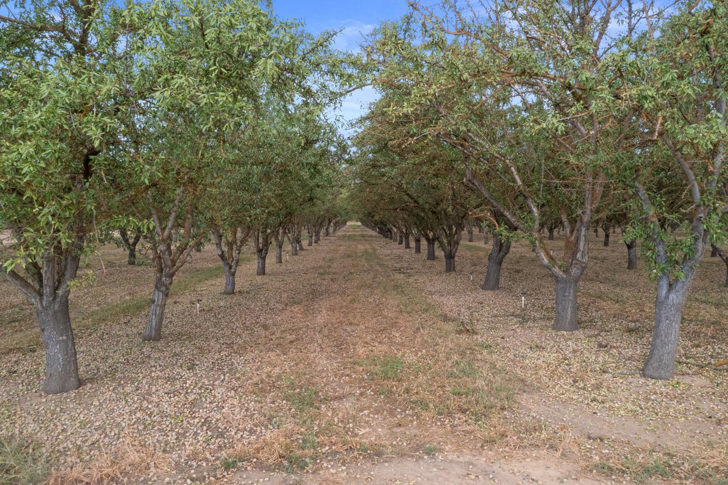 16682 Steinegul Road Escalon, CA 95320 - Photo 61 of 62