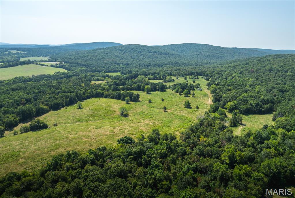 9556 Madison 535 Fredericktown, MO 63645 - Photo 11 of 43