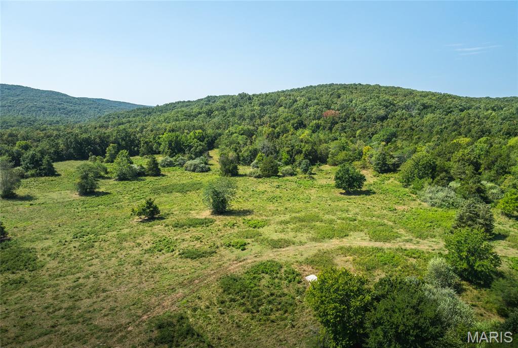 9556 Madison 535 Fredericktown, MO 63645 - Photo 15 of 43