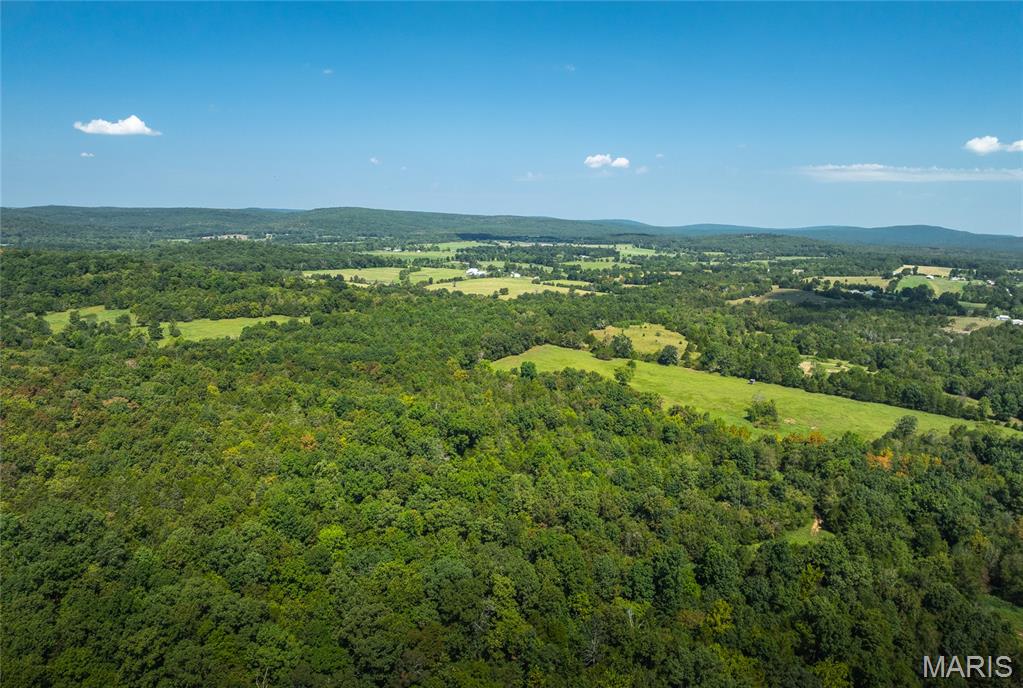 9556 Madison 535 Fredericktown, MO 63645 - Photo 24 of 43