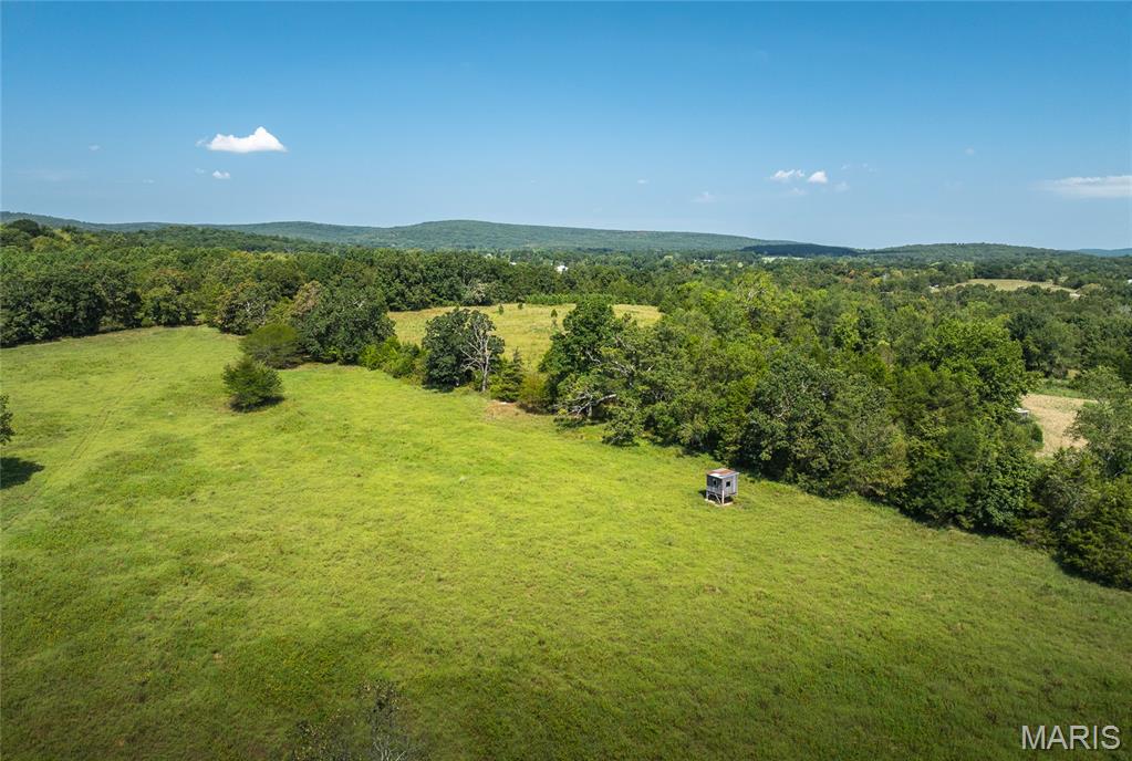 9556 Madison 535 Fredericktown, MO 63645 - Photo 27 of 43