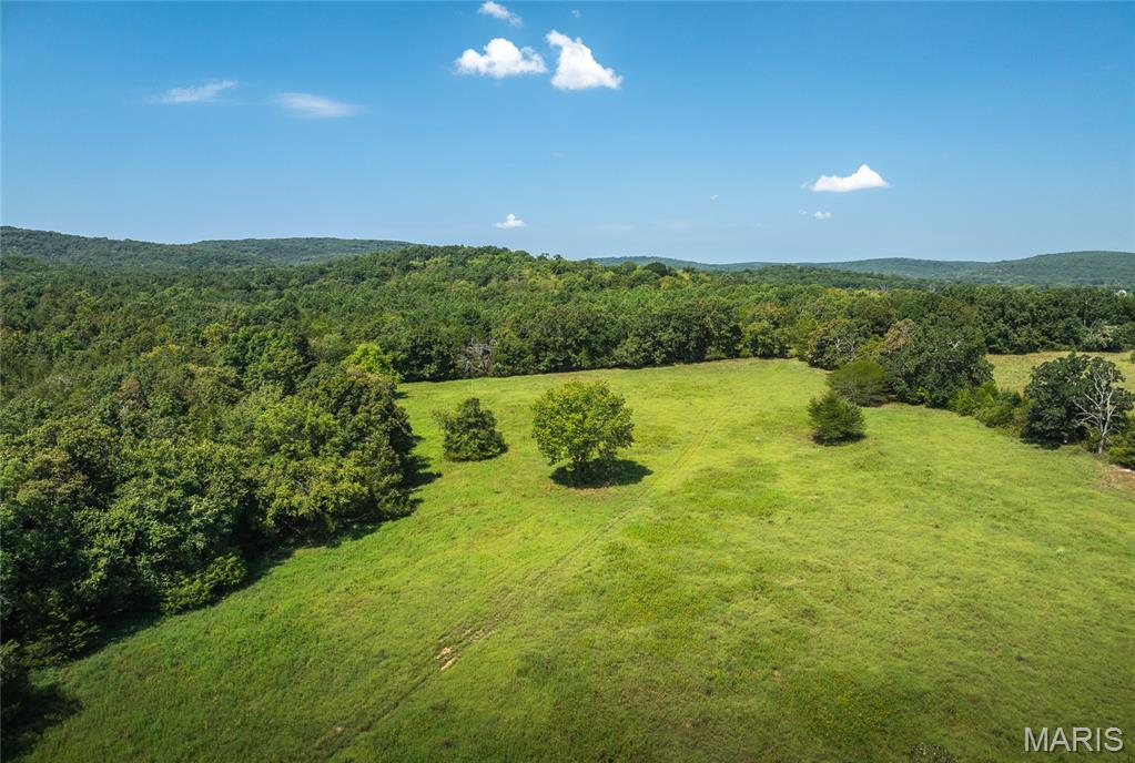 9556 Madison 535 Fredericktown, MO 63645 - Photo 28 of 43