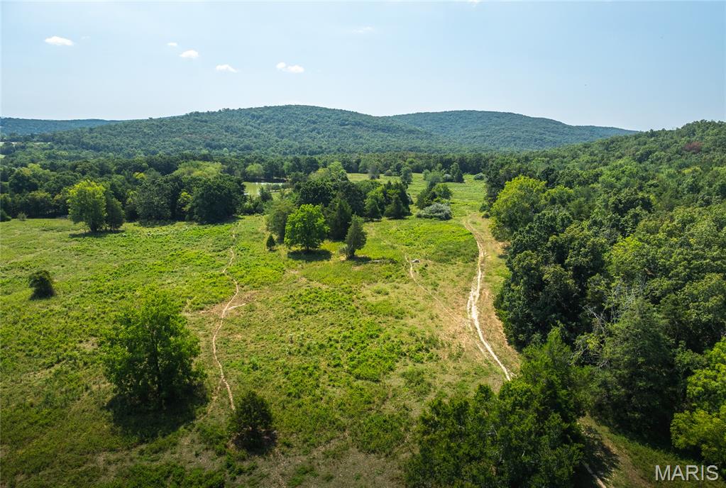 9556 Madison 535 Fredericktown, MO 63645 - Photo 33 of 43