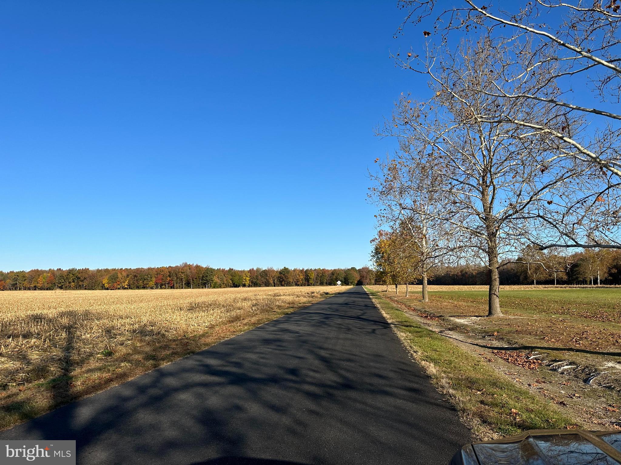Lot 1 Hunting Quarter Road, Unit 1A Houston, DE 19954 - Photo 2 of 4 Gallery Image 2