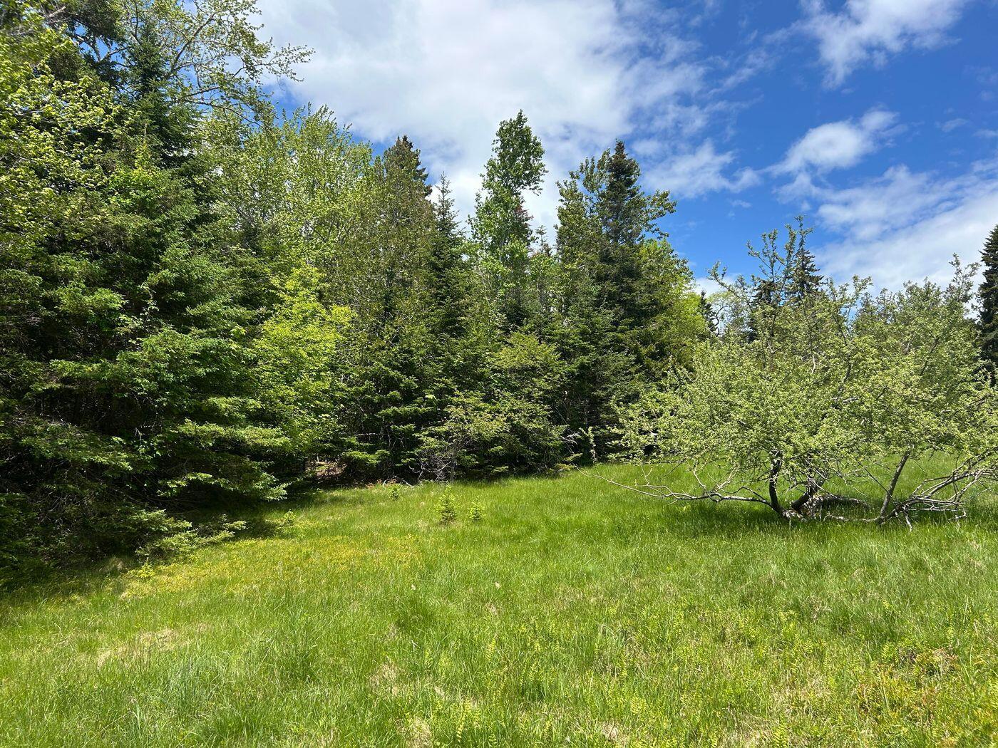 441 Pretty Marsh Road Mount Desert, ME 04660 - Photo 5 of 39 W5-ME3011_4A
