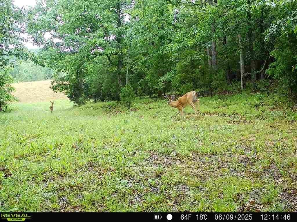1234 Cornette Road Greenville, KY 42345 - Photo 1 of 1 Gallery Image 1