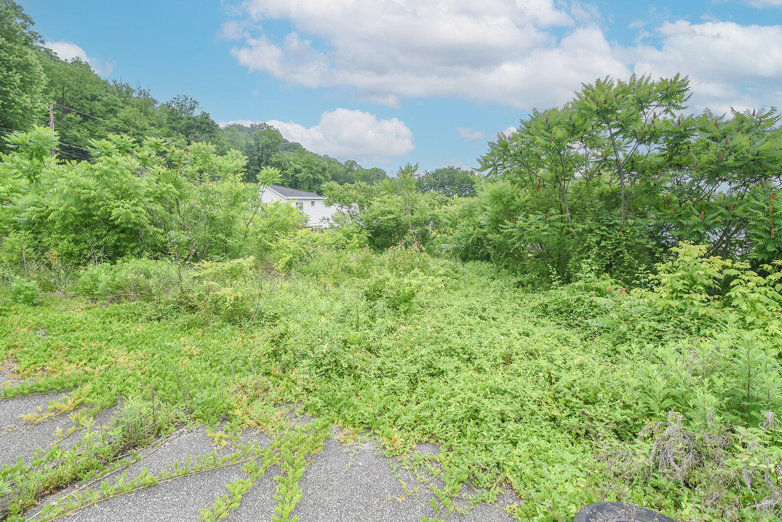 4768 River Road Hebron, KY 41048 - Photo 7 of 14