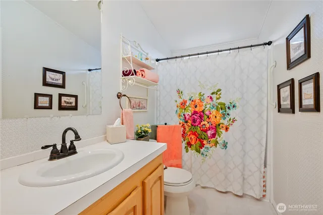 a bathroom with a sink mirror vanity and toilet