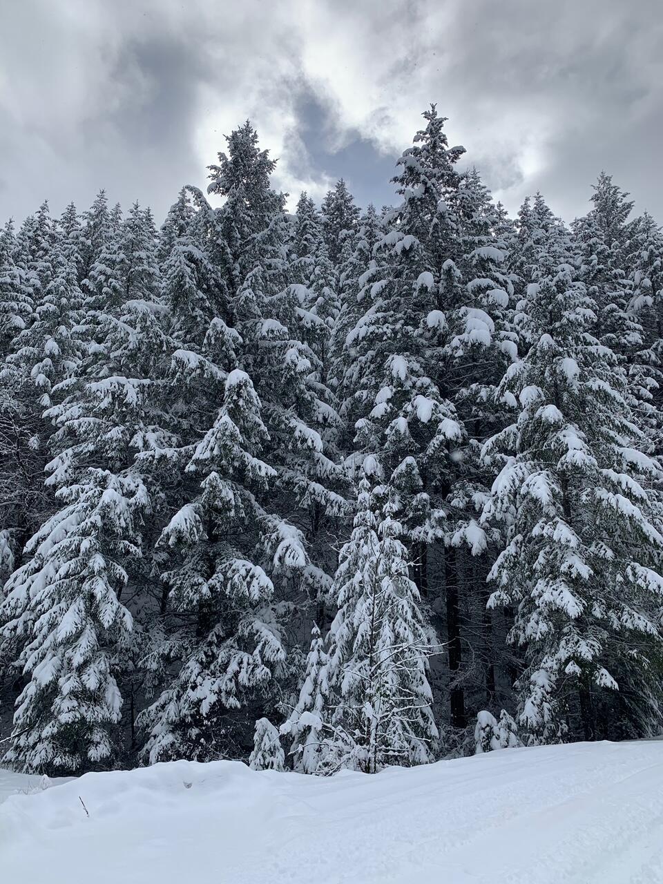 52 Dodes Creek Road Trail, OR 97541 - Photo 96 of 110 Winter Wonderland