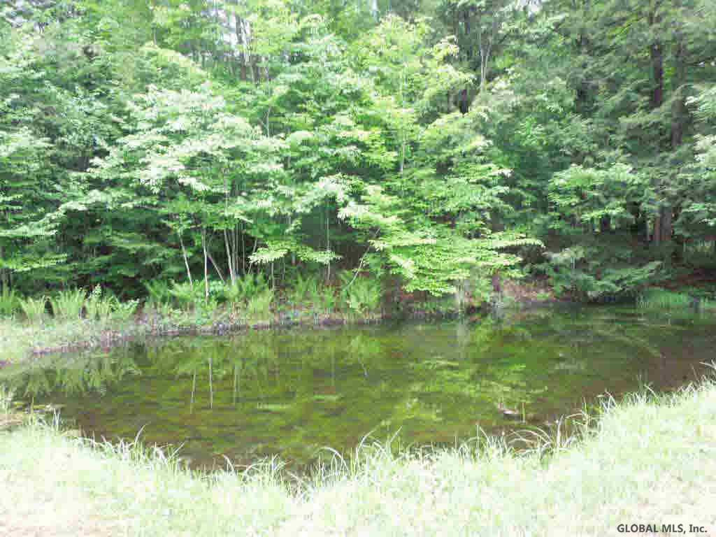 273 Old Stage Road Lake Luzerne, NY 12846 - Photo 12 of 12 Photo 12