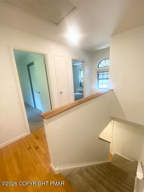 176 Suter Drive Bushkill, PA 18324 - Photo 22 of 25 IMG_6774