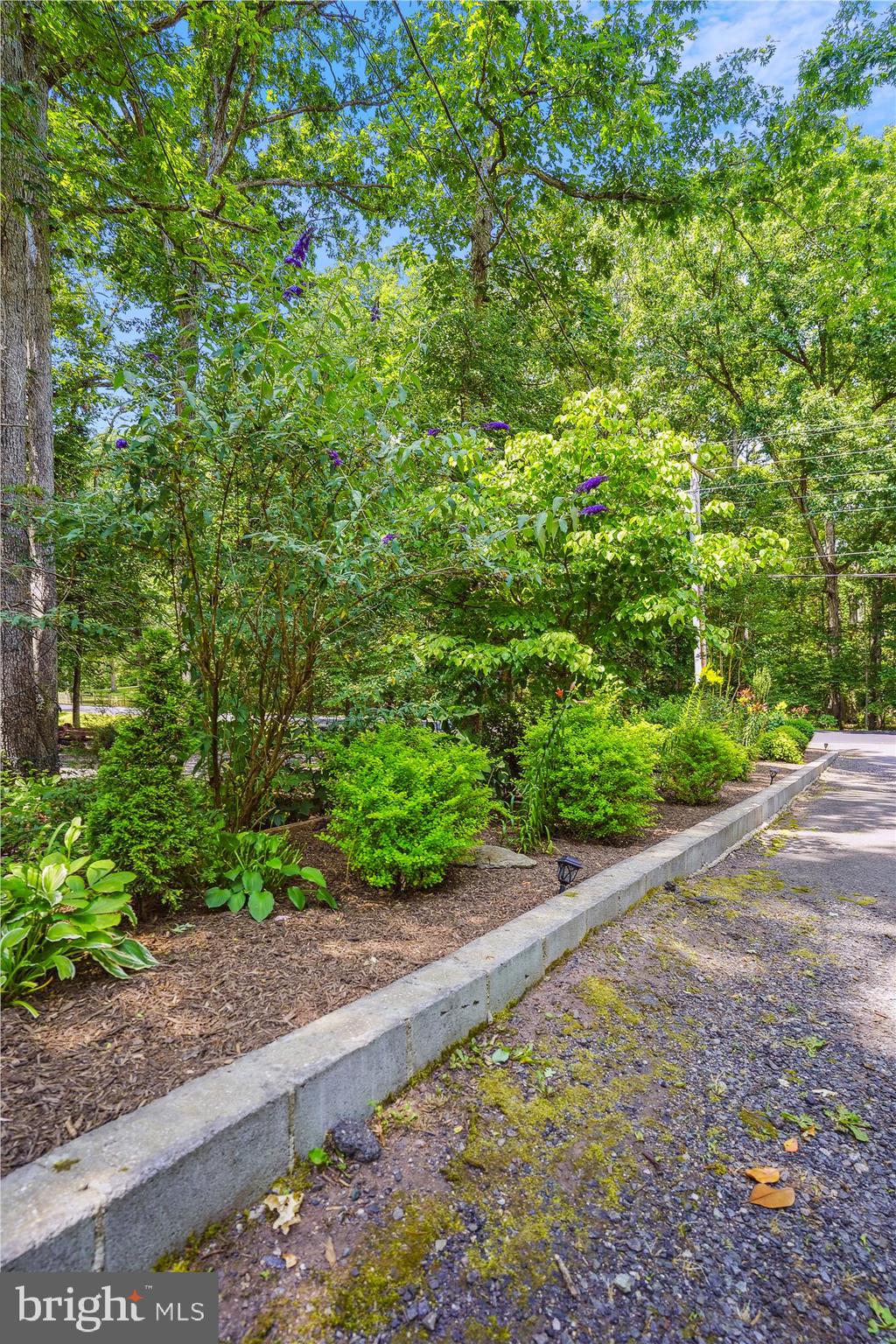 11617 Smithfield Road Manassas, VA 20112 - Photo 20 of 52 Freshly weeded and landscaped this week!