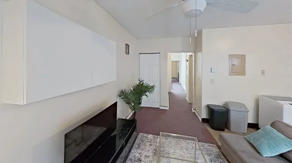 a living room with furniture and a potted plant