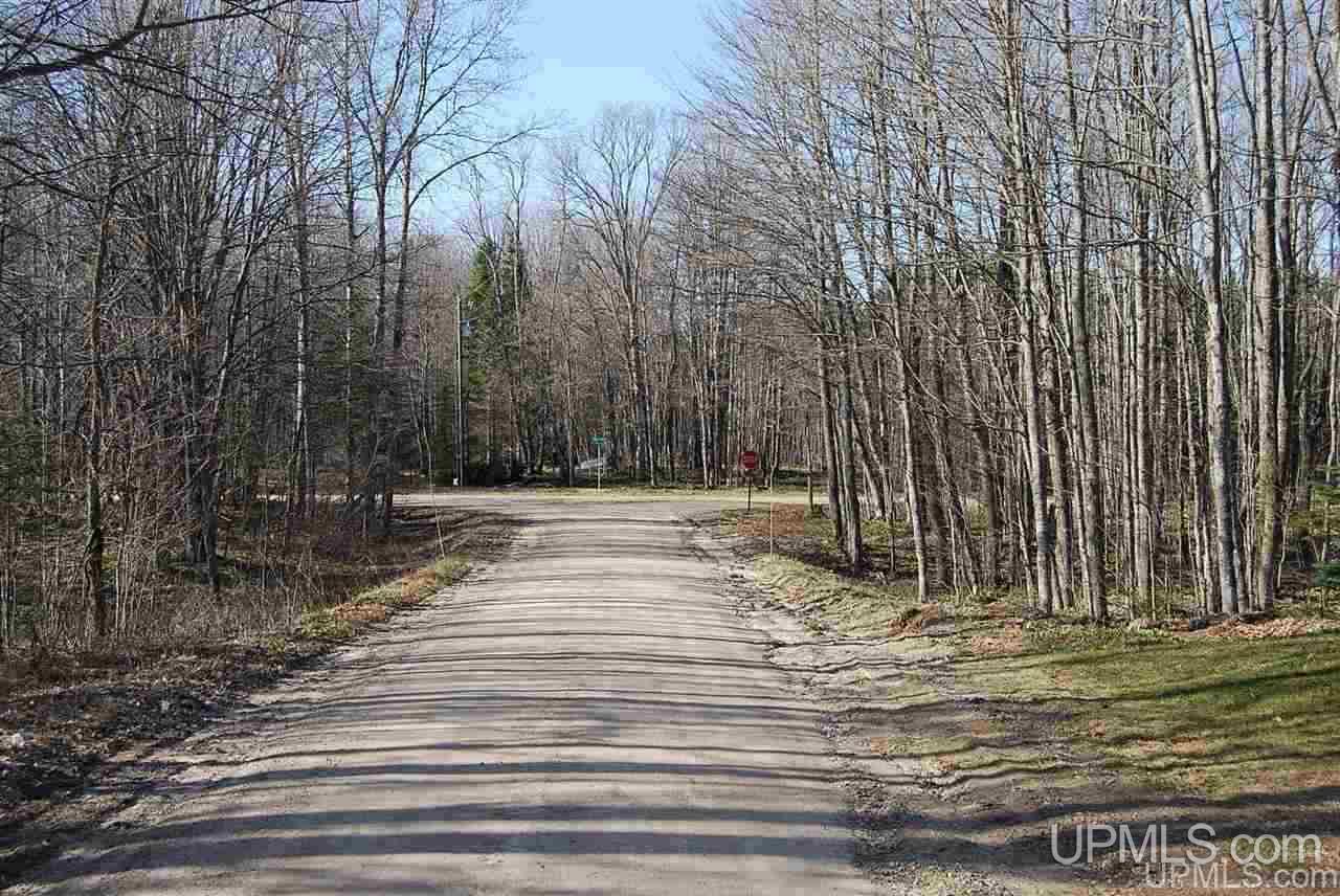 N3480 Ladoga Road Trenary, MI 49891 - Photo 31 of 33 Gallery Image 31