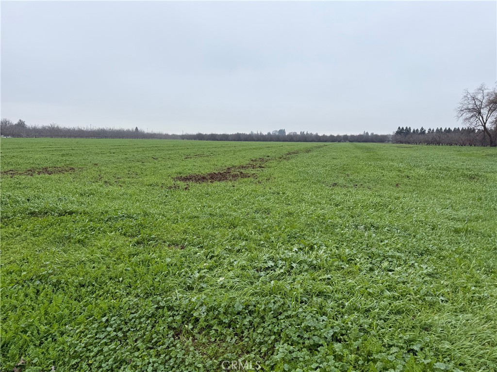 2376 Dayton Road Chico, CA 95928 - Photo 6 of 23