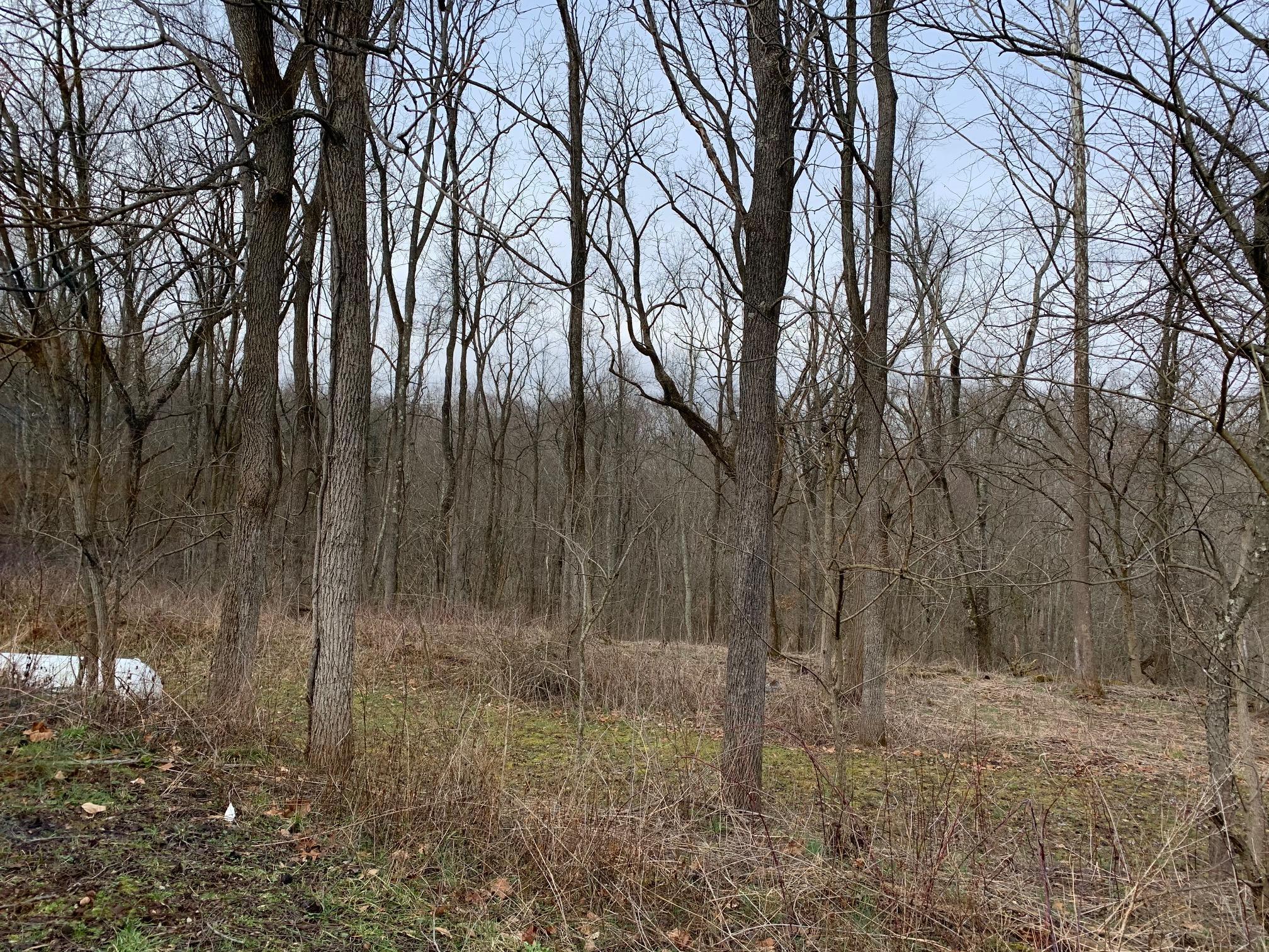2085 Arter Road Southwest Lancaster, OH 43130 - Photo 11 of 19