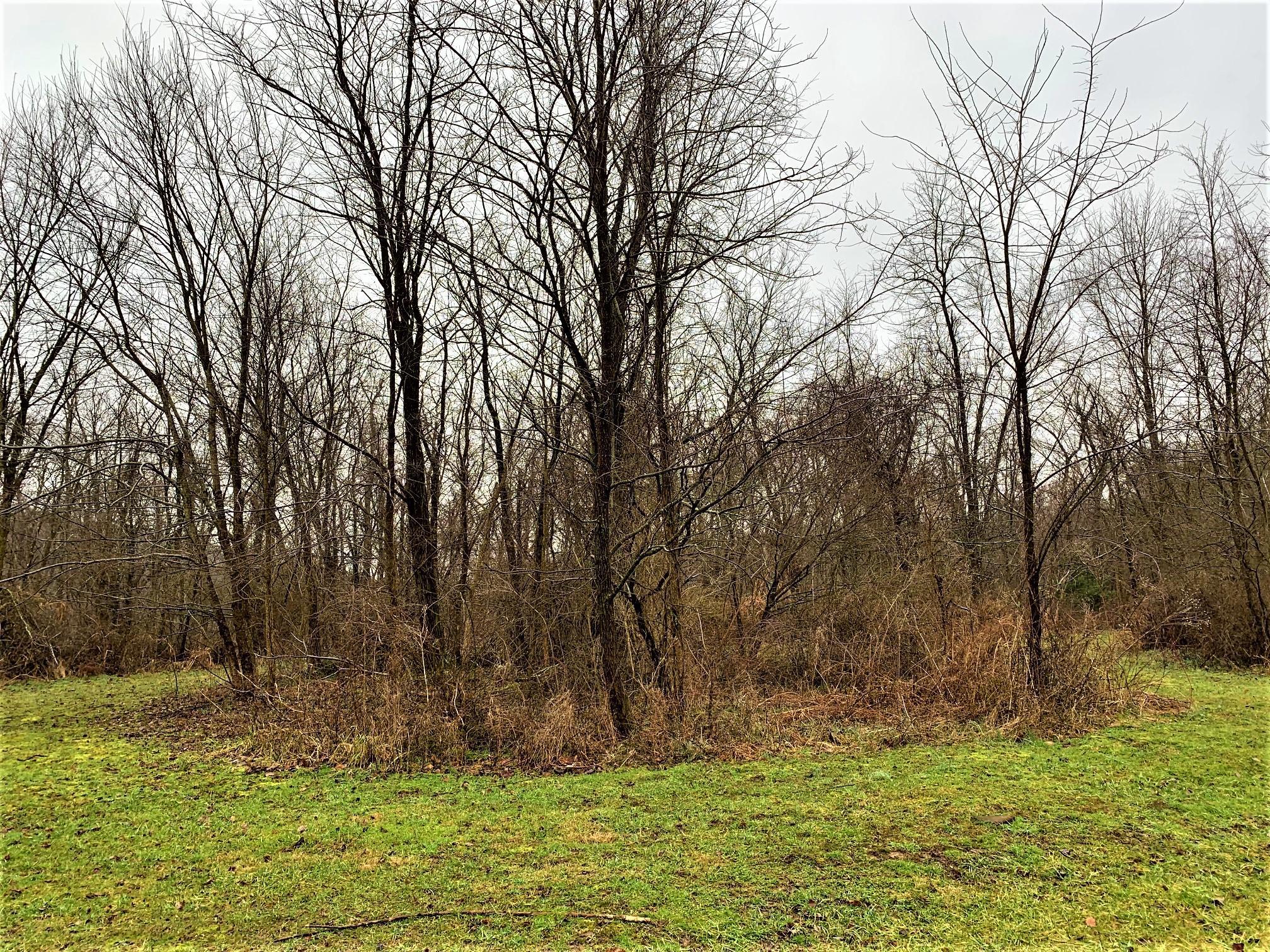 2085 Arter Road Southwest Lancaster, OH 43130 - Photo 4 of 19