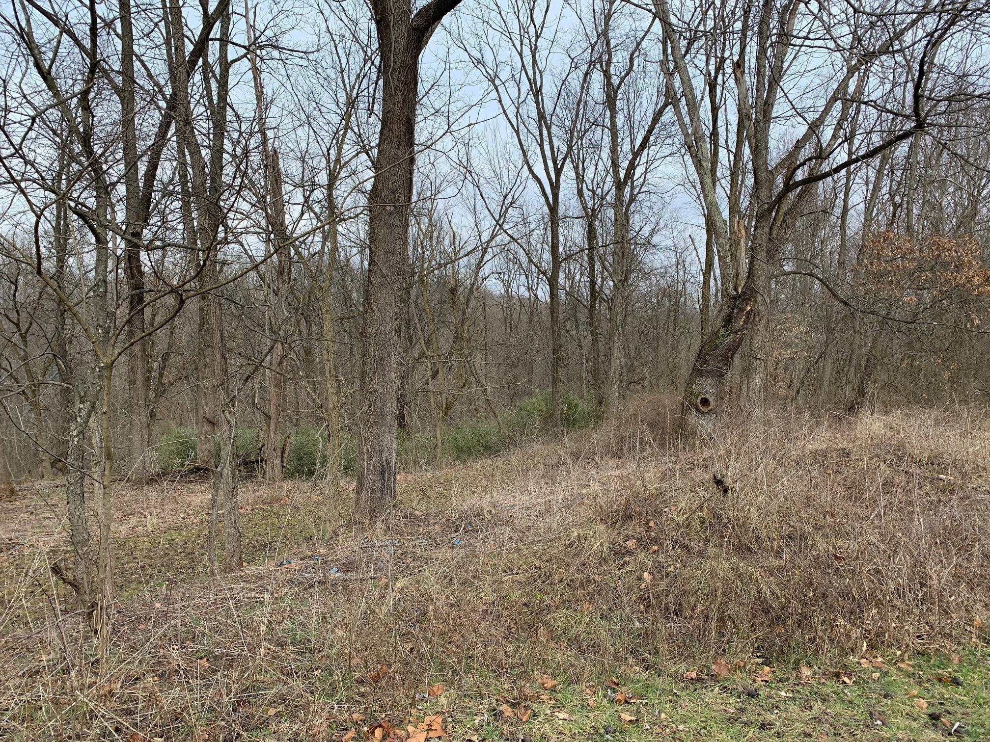 2085 Arter Road Southwest Lancaster, OH 43130 - Photo 10 of 19