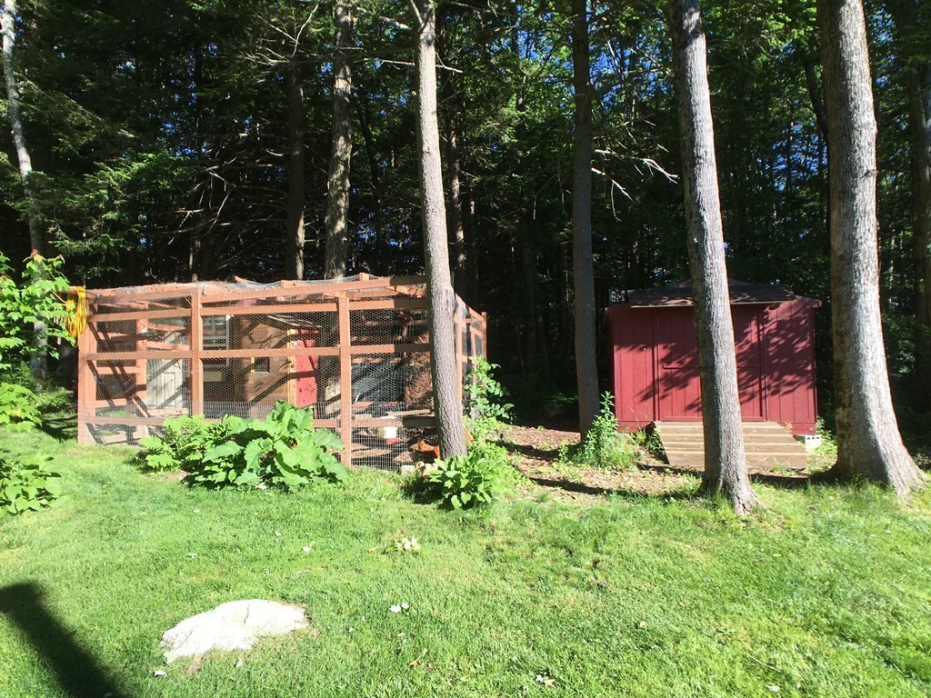 270 Main Road Chesterfield, MA 01012 - Photo 7 of 30 a backyard of a house with lots of green space and fountain