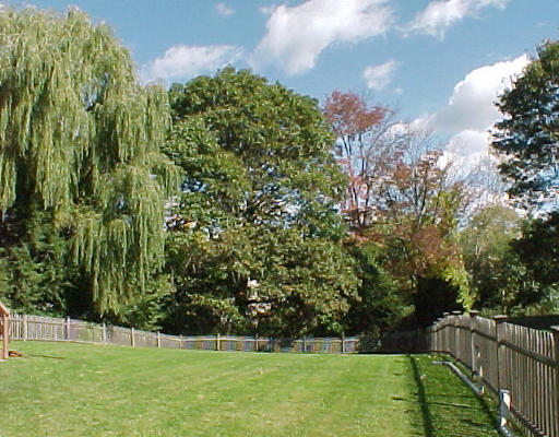 11 Lovett Road Newton, MA 02459 - Photo 3 of 3 a view of a garden