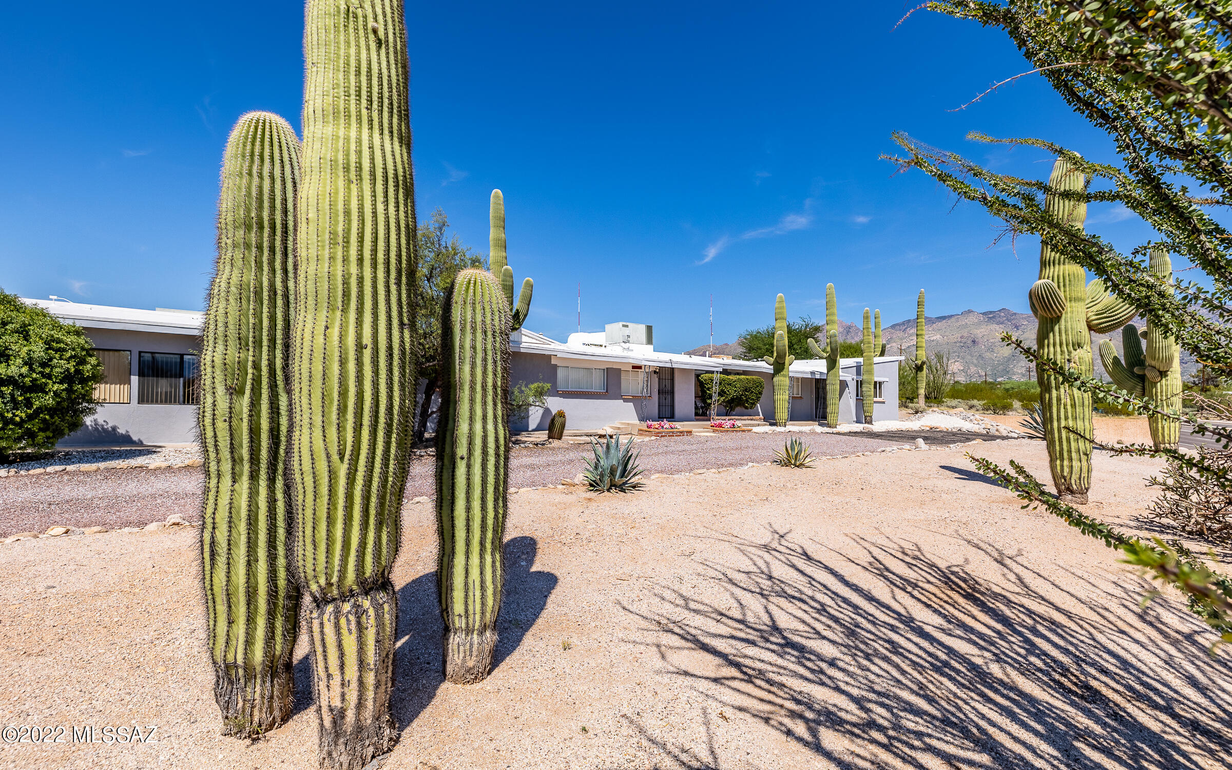 4401 North Swan Road Tucson, AZ 85718 - Photo 37 of 42 Gallery Image 37