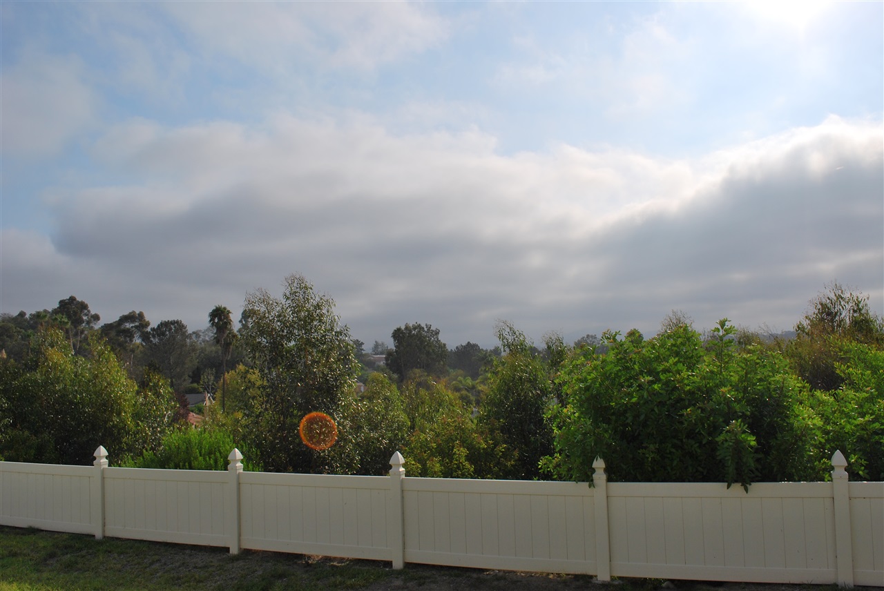 1994 Springdale Lane Encinitas, CA 92024 - Photo 11 of 14 Gallery Image 11