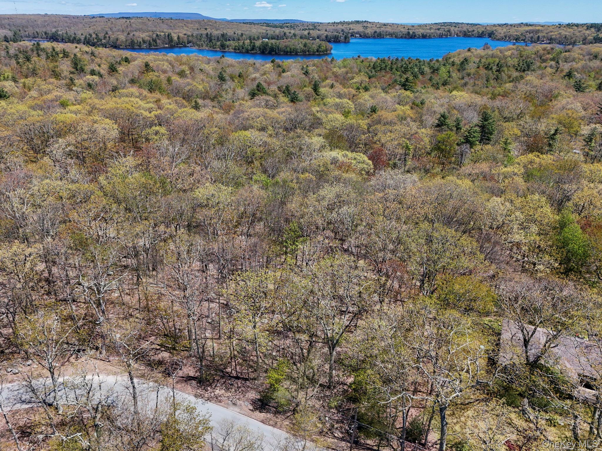 Canal Road Wurtsboro, NY 12790 - Photo 1 of 19