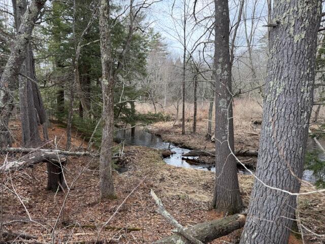 Tbd Kennebunk Road Alfred, ME 04002 - Photo 9 of 16