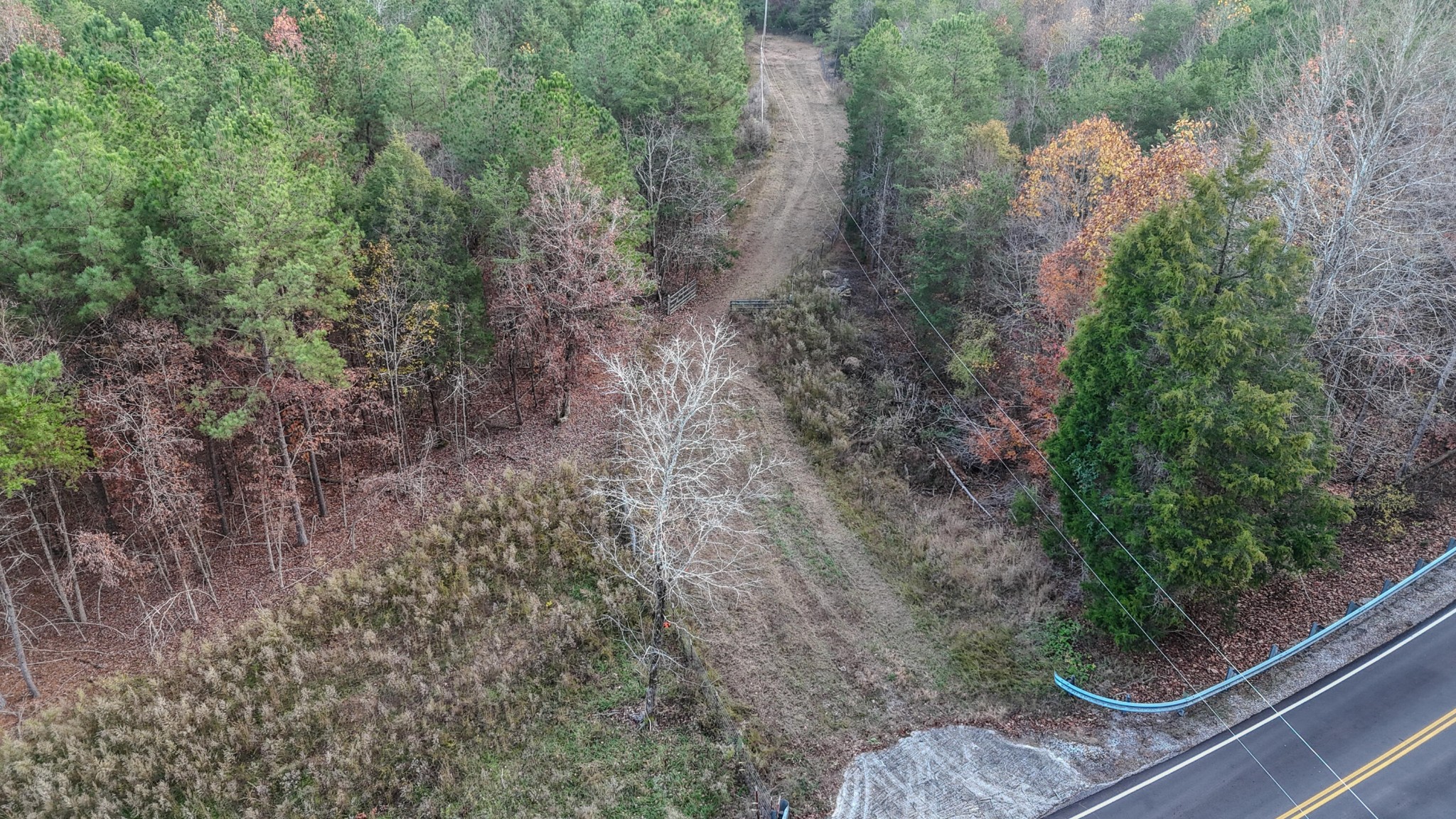 0 Lamontville Road Decatur, TN 37322 - Photo 14 of 17 a view of a yard