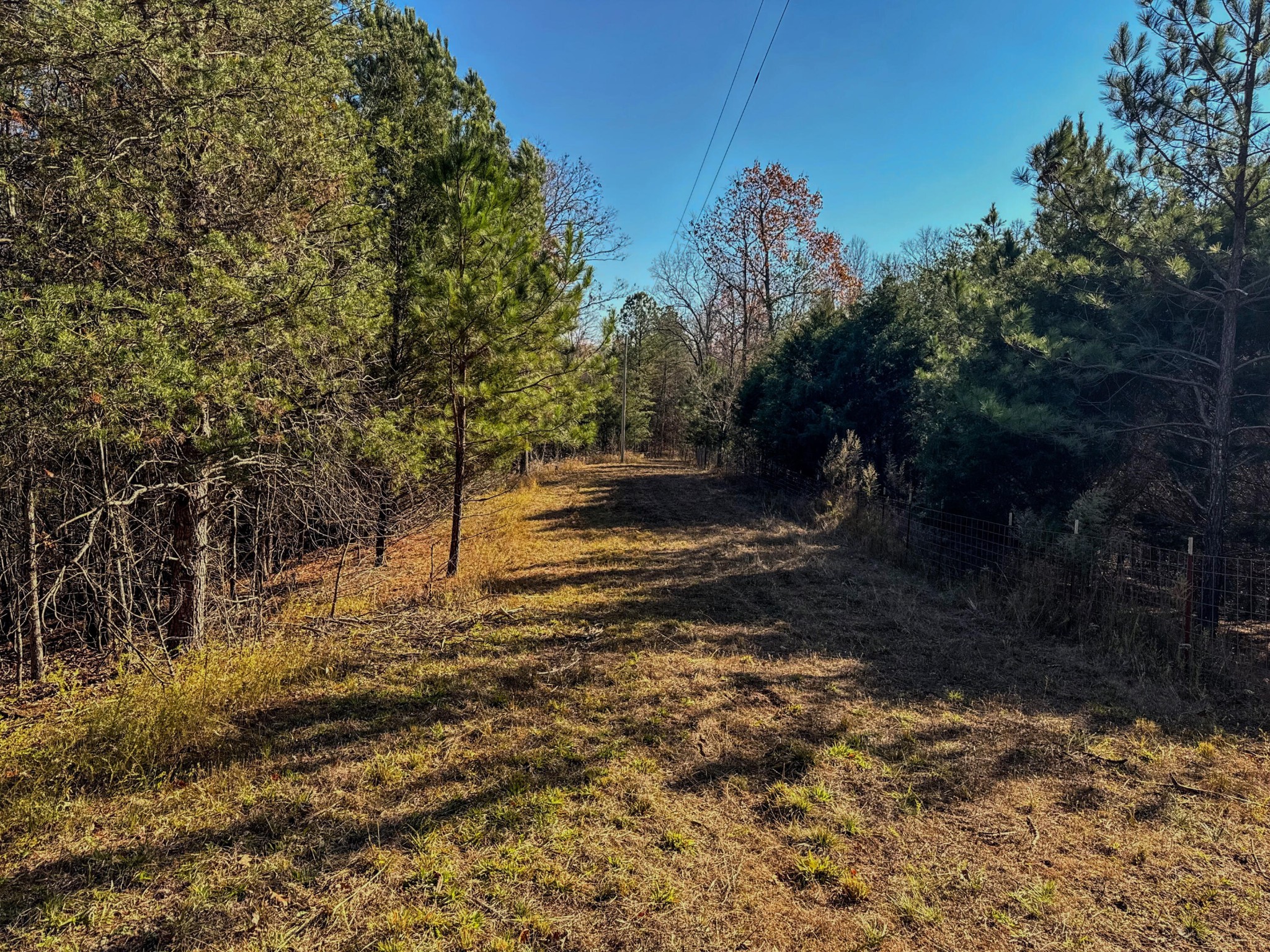 0 Lamontville Road Decatur, TN 37322 - Photo 3 of 17 a view of a yard with trees