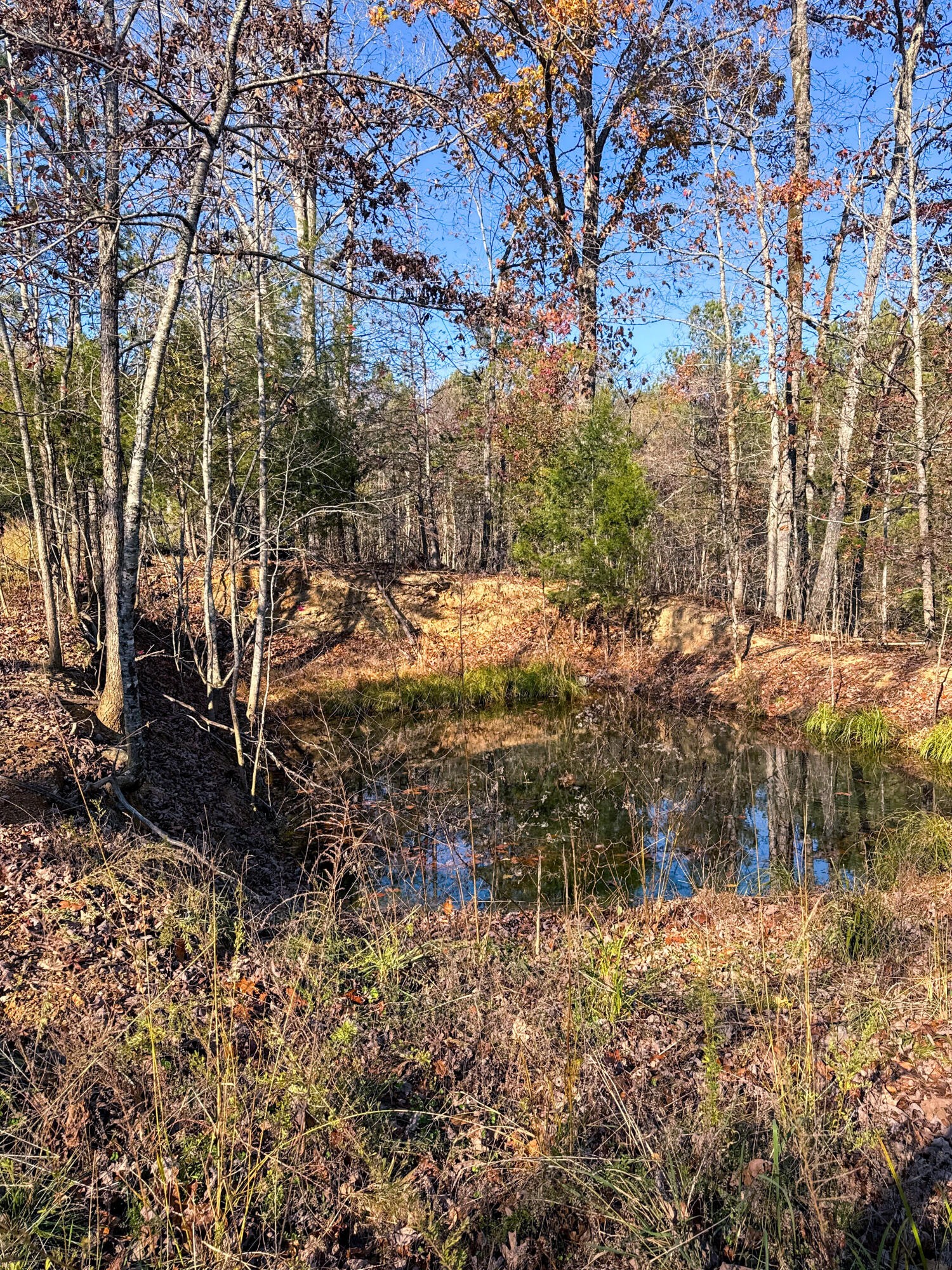 0 Lamontville Road Decatur, TN 37322 - Photo 5 of 17 a backyard of a house with lots of green space