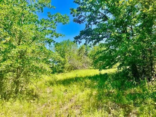 $109,000 | Lot 35 Galway Road, Poolville, TX 76487